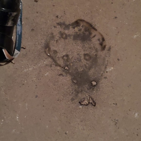 Meet your Posher, Thomas h - Picture 1 of 1